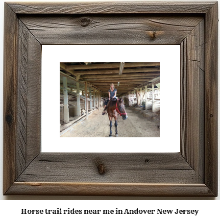 horse trail rides near me in Andover, New Jersey